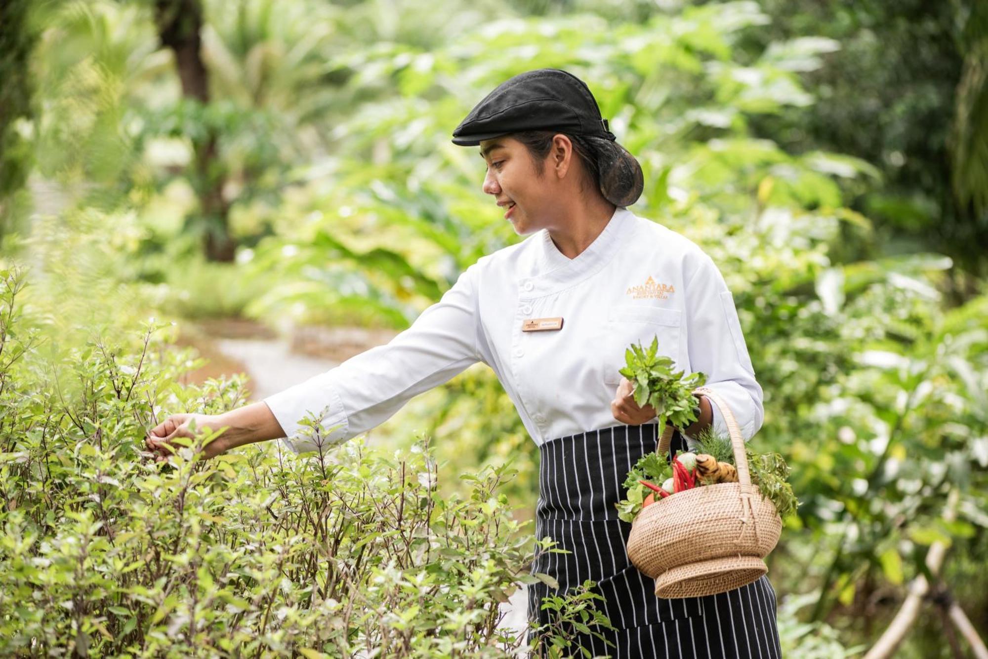 Anantara Koh Yao Yai Resort & Villas Ko Yao Dış mekan fotoğraf